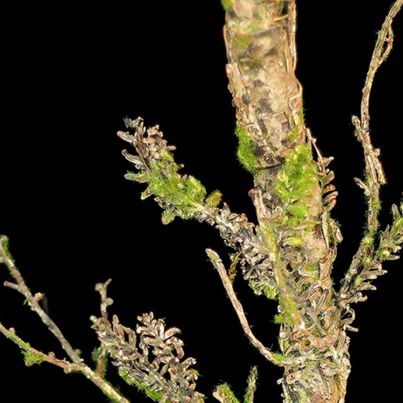 New Withered Vines Artificial  - Christmas Tree Artificial recensione e prezzo
